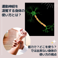 画像1056