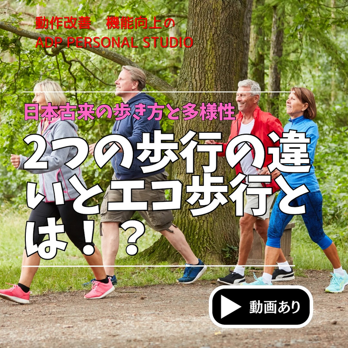 画像1077