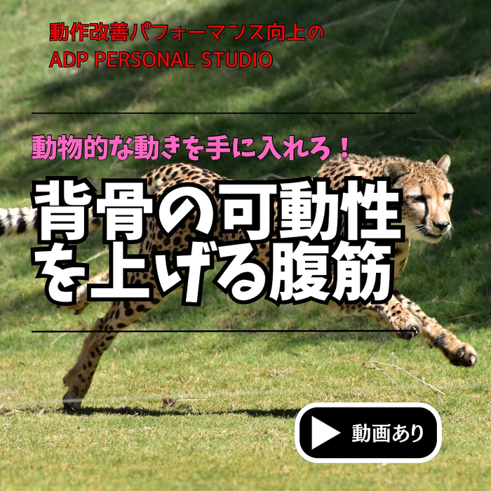 画像1107