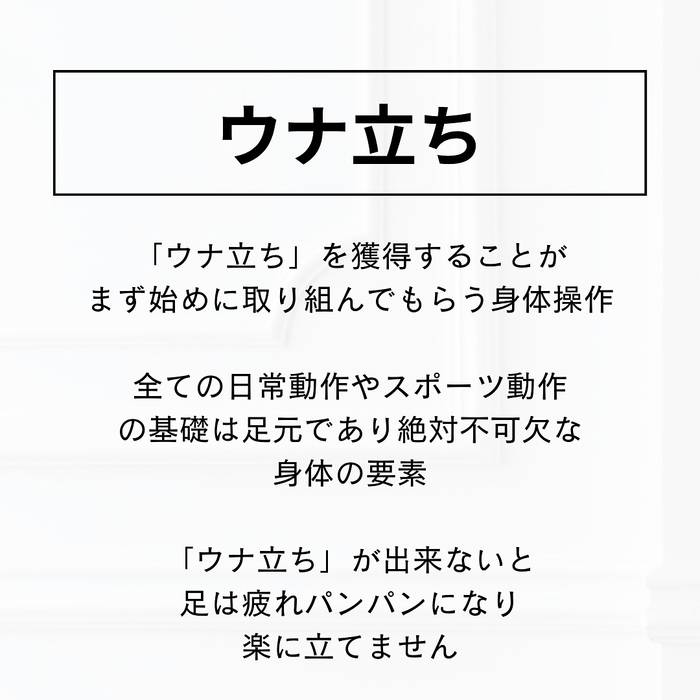画像1134