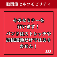 画像1258