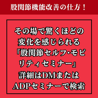 画像1259