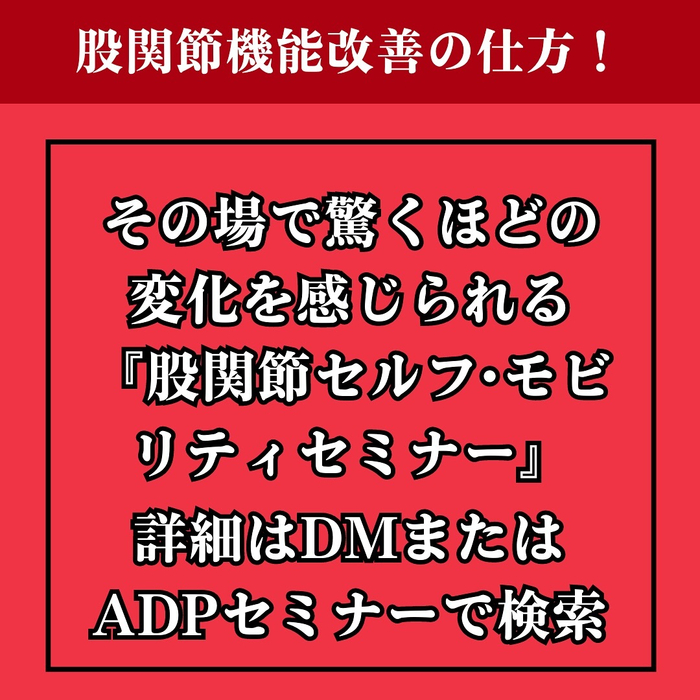 画像1259