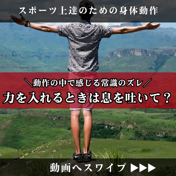 画像1536