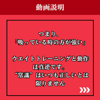 画像1541
