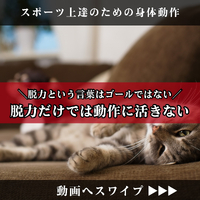 画像1555