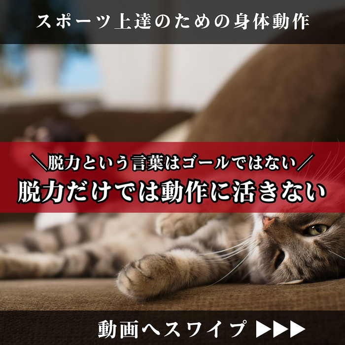 画像1555