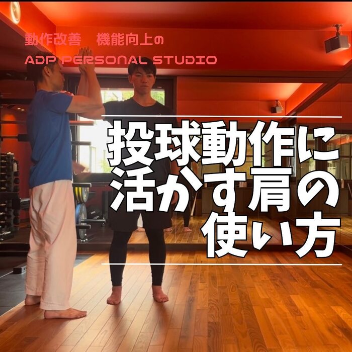 画像264