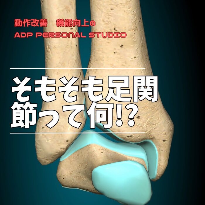 画像345