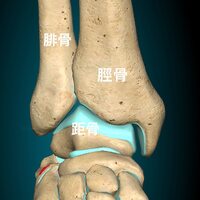 画像347