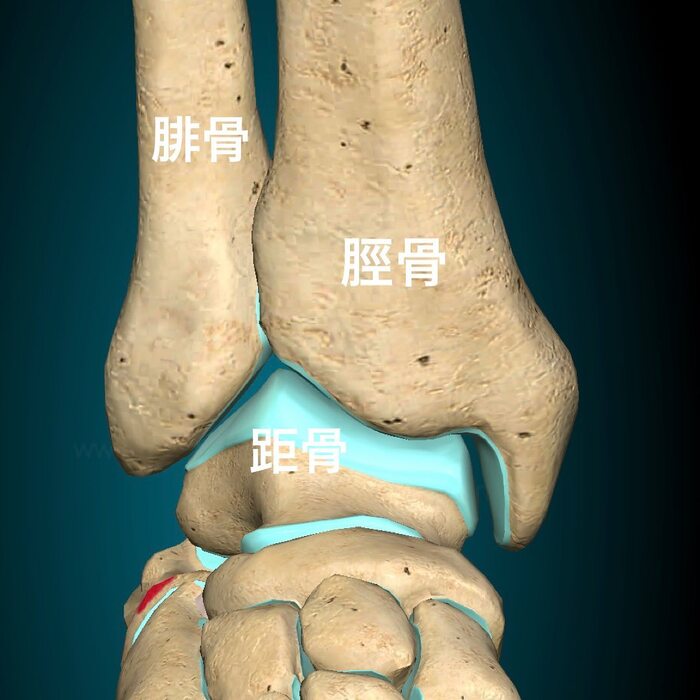 画像347