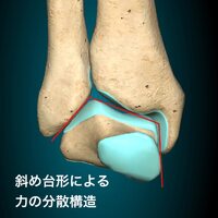 画像348