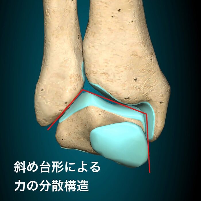 画像348