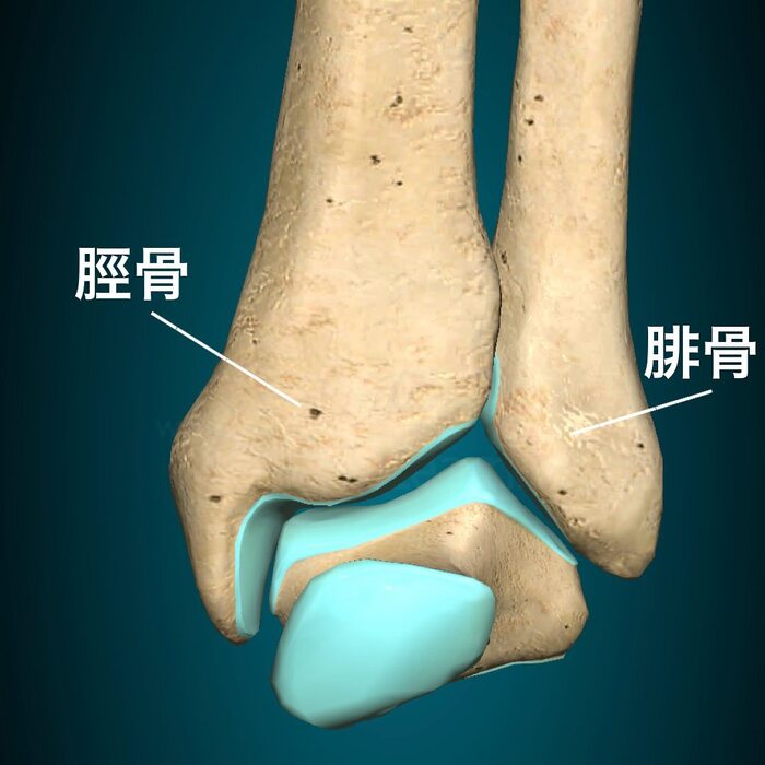 画像354