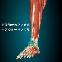 画像361