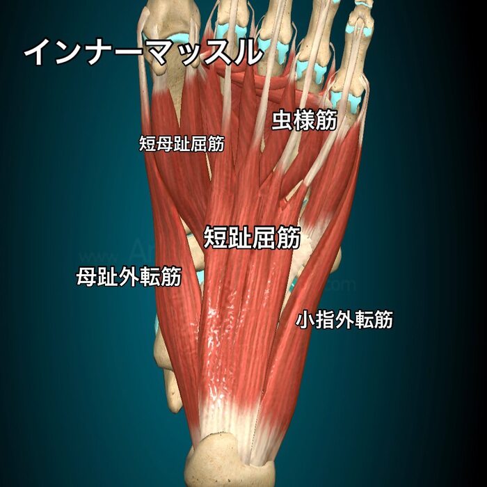 画像362