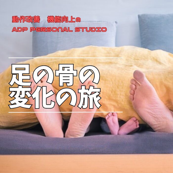 画像364