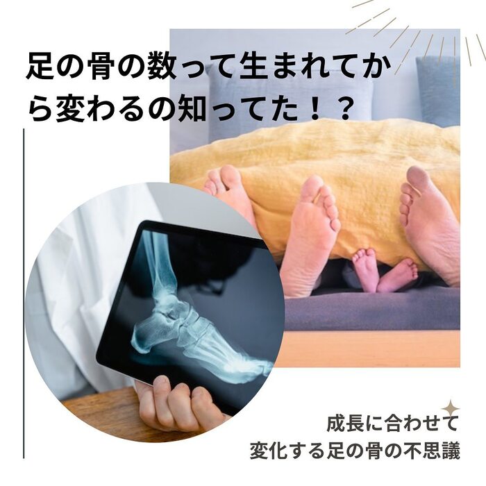 画像365