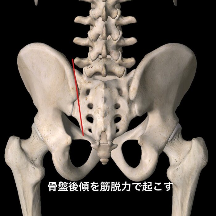 画像381