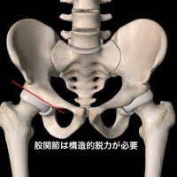 画像382