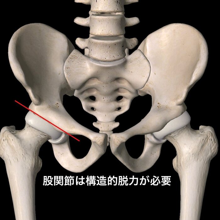 画像382