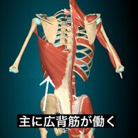画像387