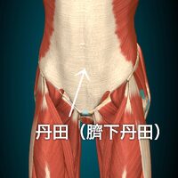 画像401