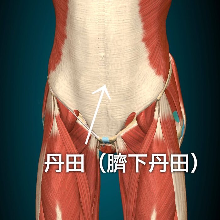 画像401