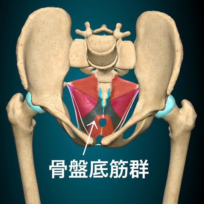 画像402