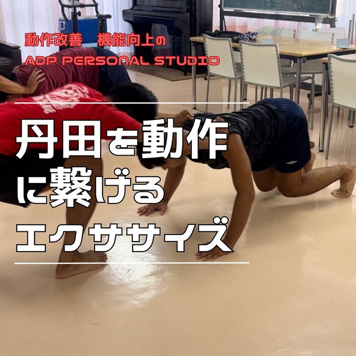 画像404