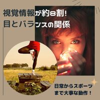 画像423