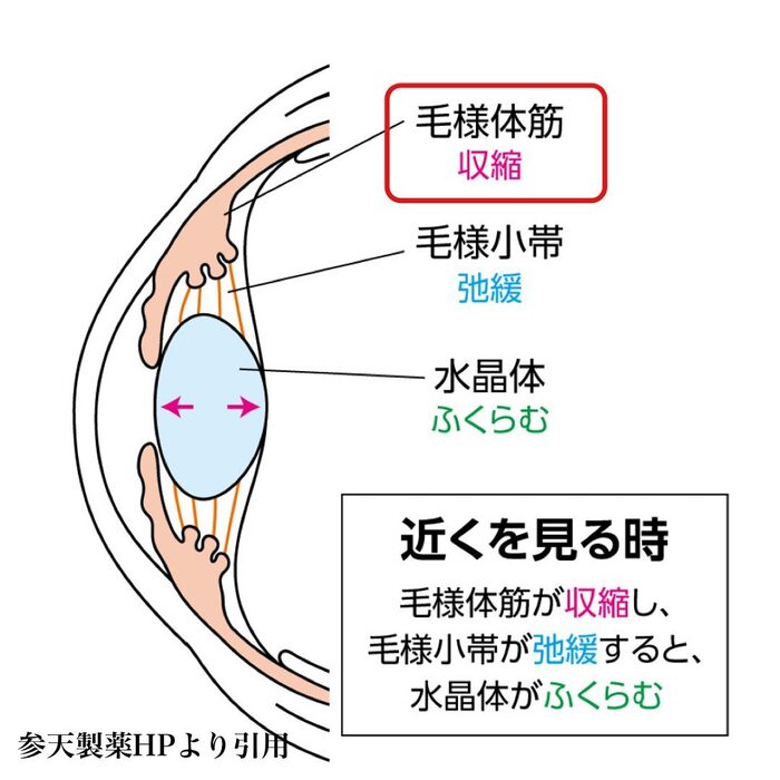画像424