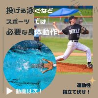 画像445