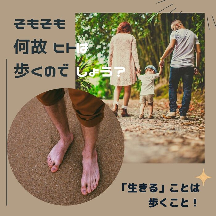 画像449