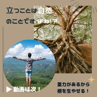 画像460