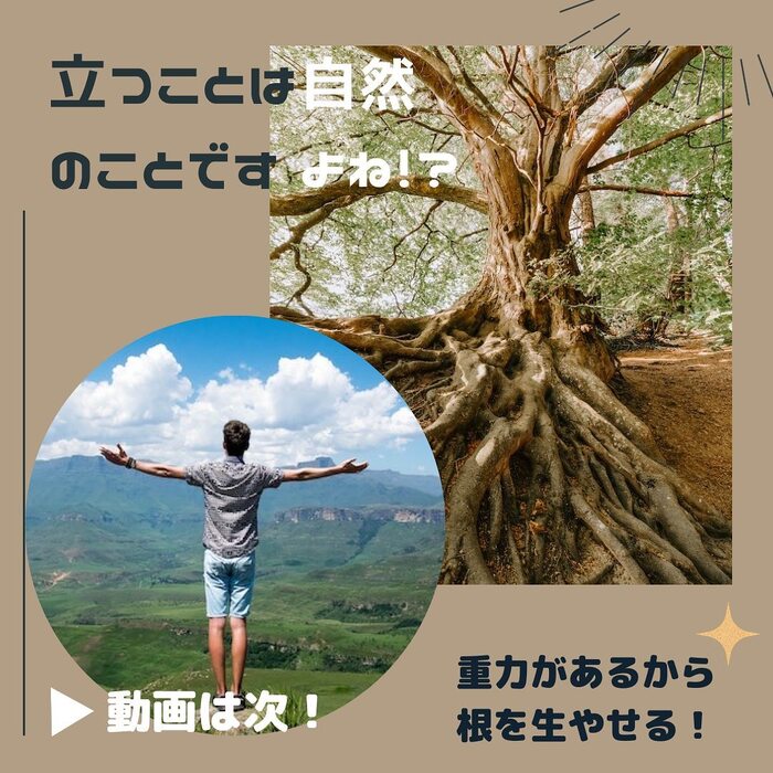 画像460
