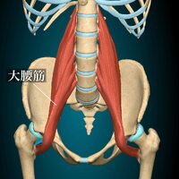 画像493
