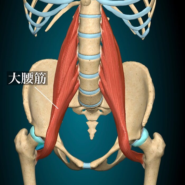 画像493