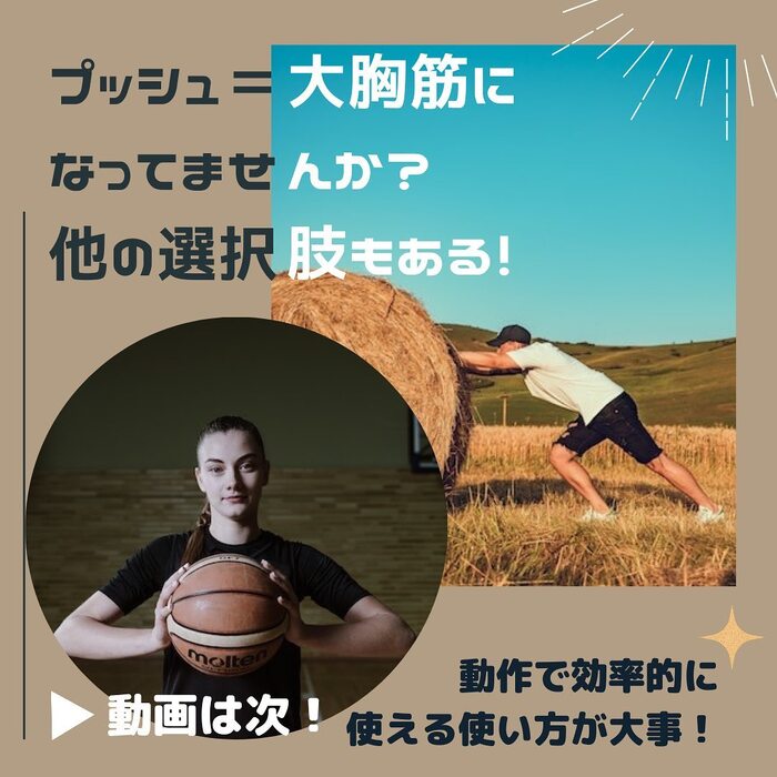 画像497