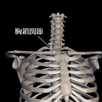 画像498