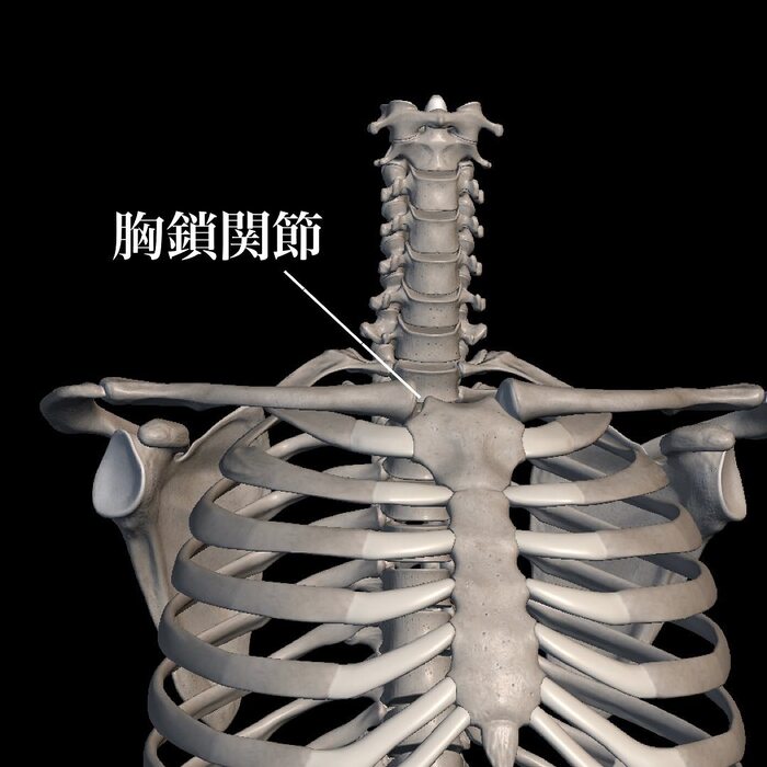 画像498