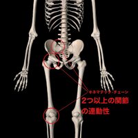 画像516