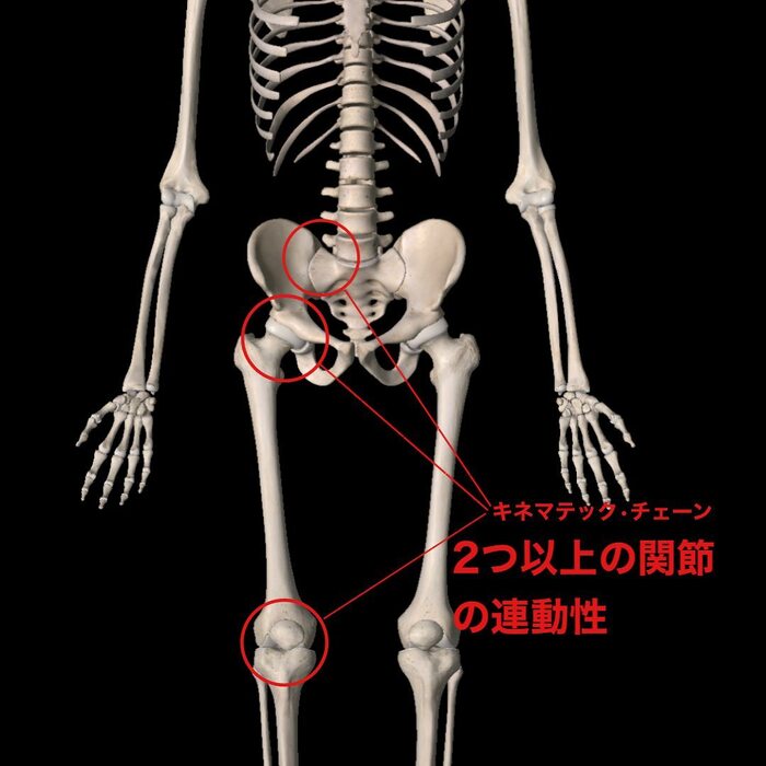 画像516
