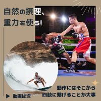 画像519