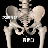 画像520
