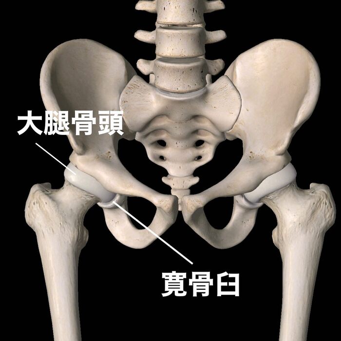 画像520