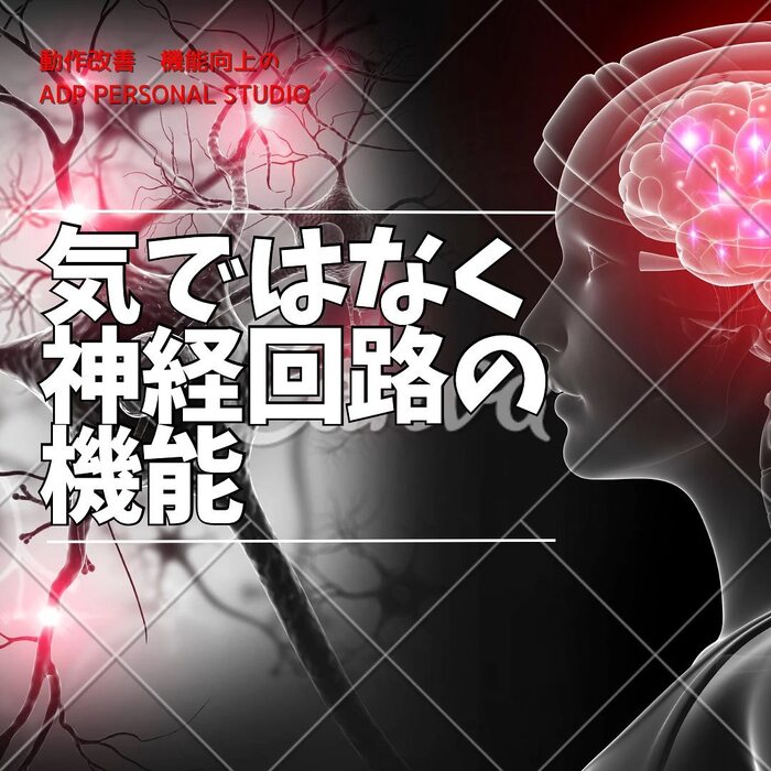 画像548