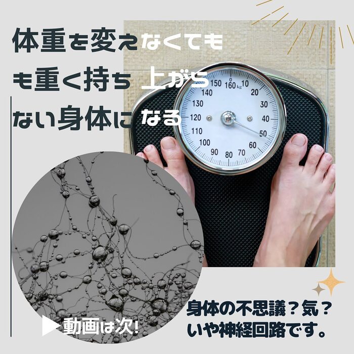 画像549