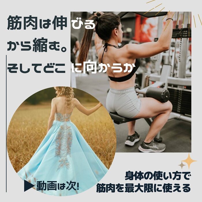 画像561