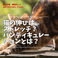 画像743
